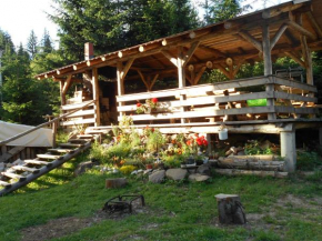 Гостиница Cabana Filip  Кавник